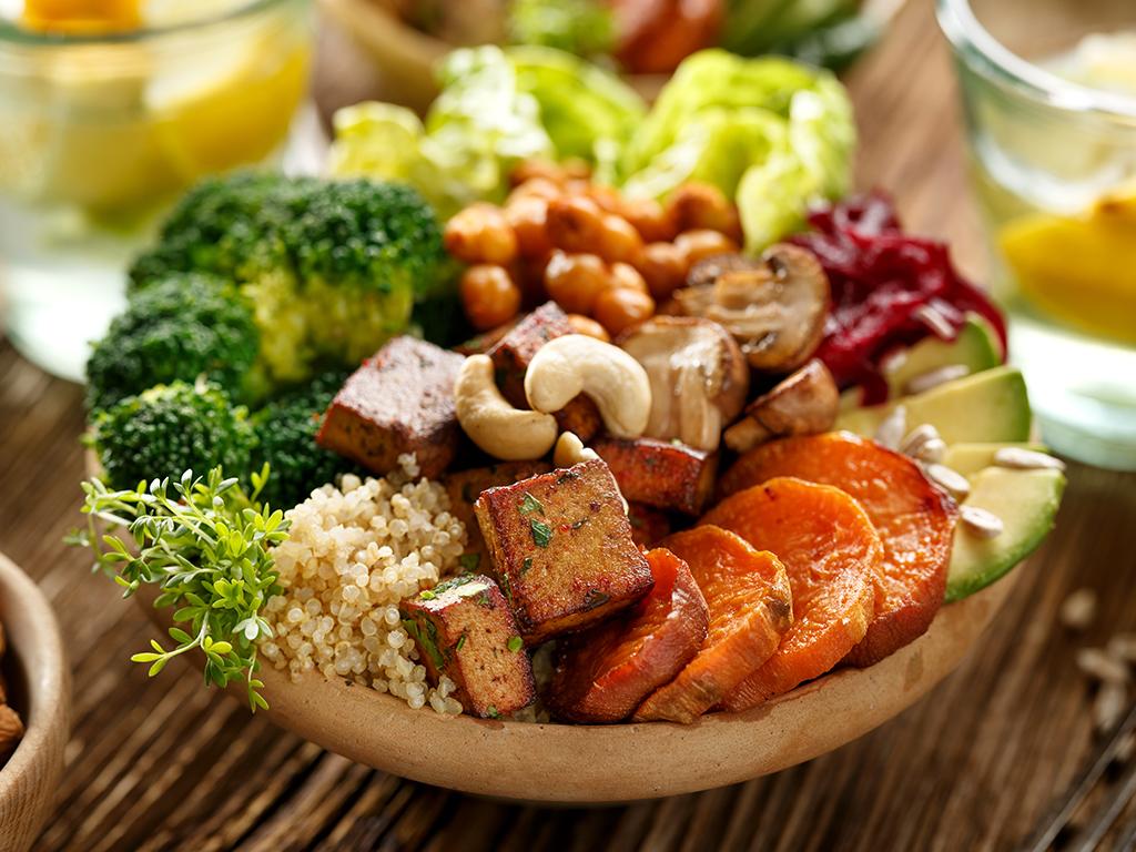 vegan society coronavirus study