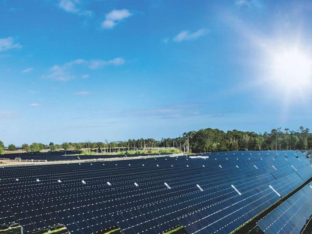 disney solar panel project