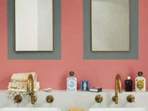 earthborn environmentally friendly paint