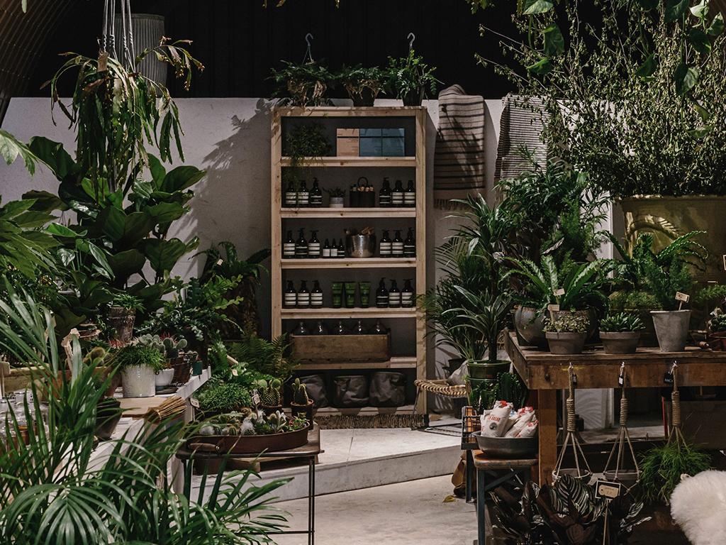 forest london plant shop
