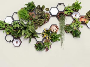 horticus living wall