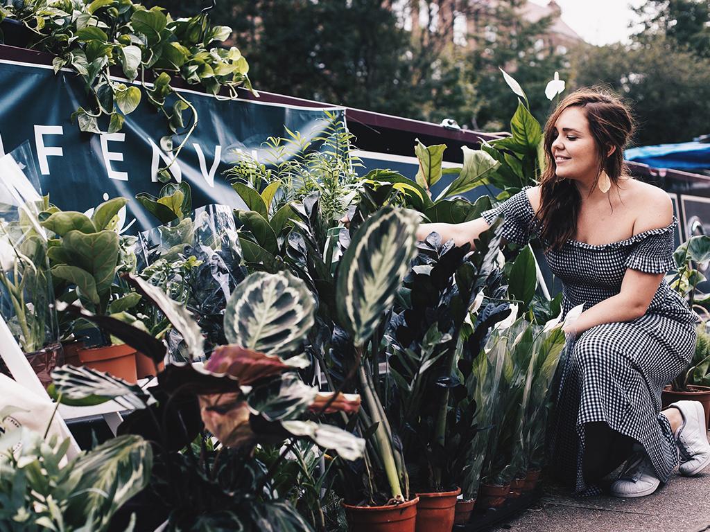 leaf envy plant parenthood