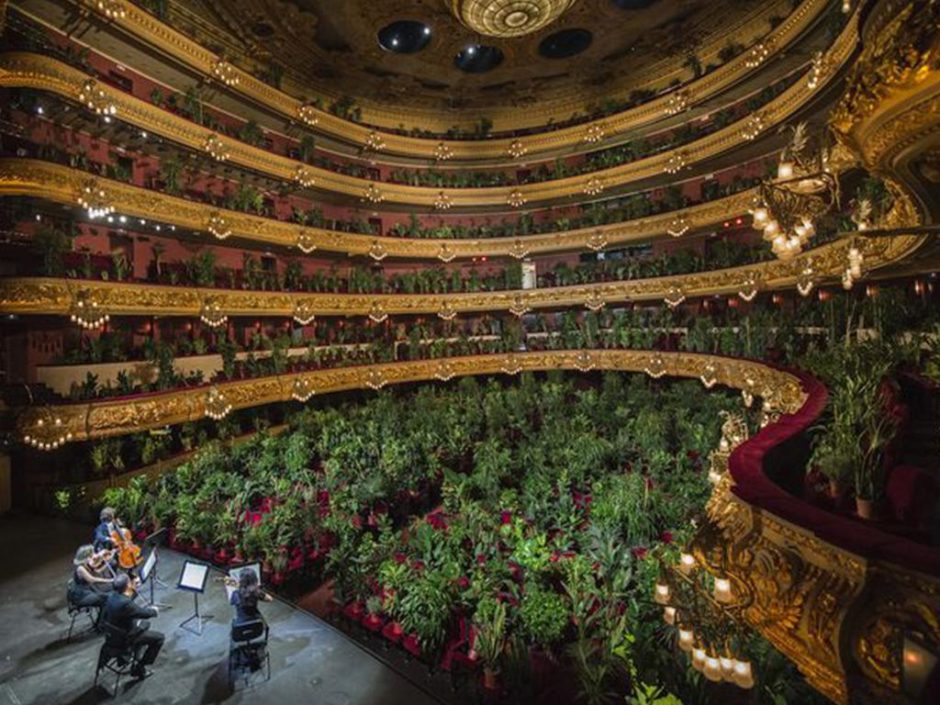 The Barcelona Plant Opera Was an Operatic Performance Just For Plants
