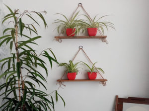 Here’s How You Can Upcycle and Create Stylish Plant Shelves for Free