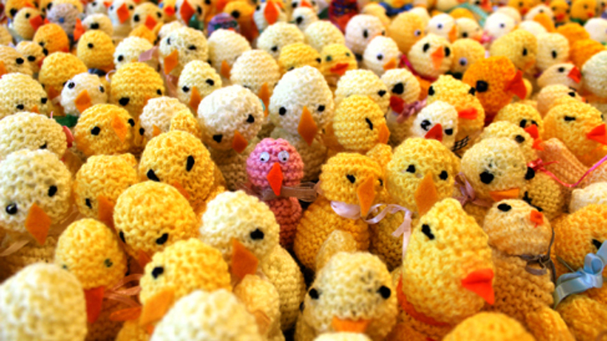 Knit a chick today!