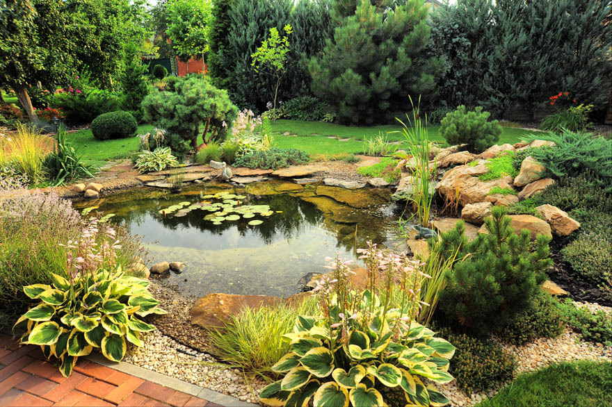 Ponds and water features encourage wildlife Pic: Rex/Shutterstock