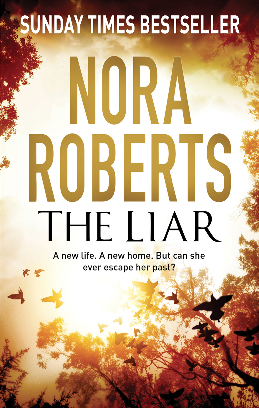 The Liar book cover