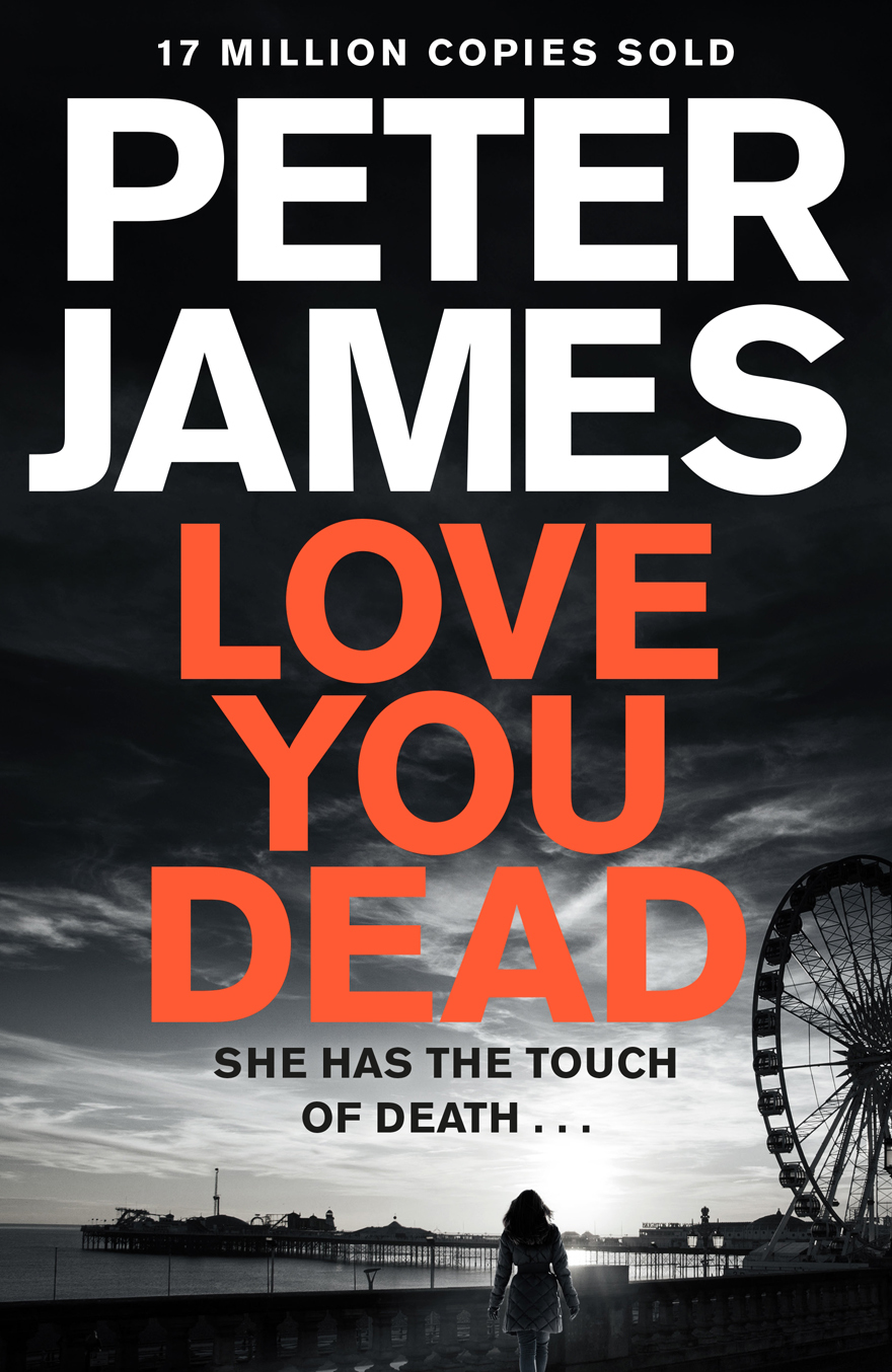 Love You Dead book cover