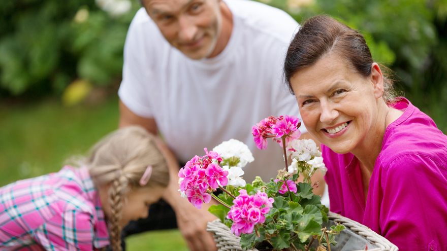 Woman with geraniums Pic: Rex/Shutterstock