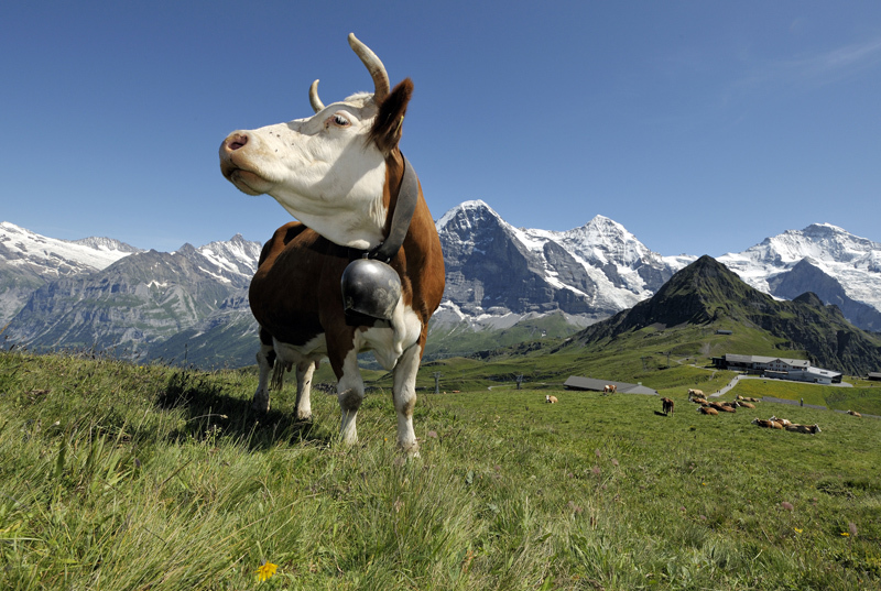 Spectacular scenery in Jungfrau Region