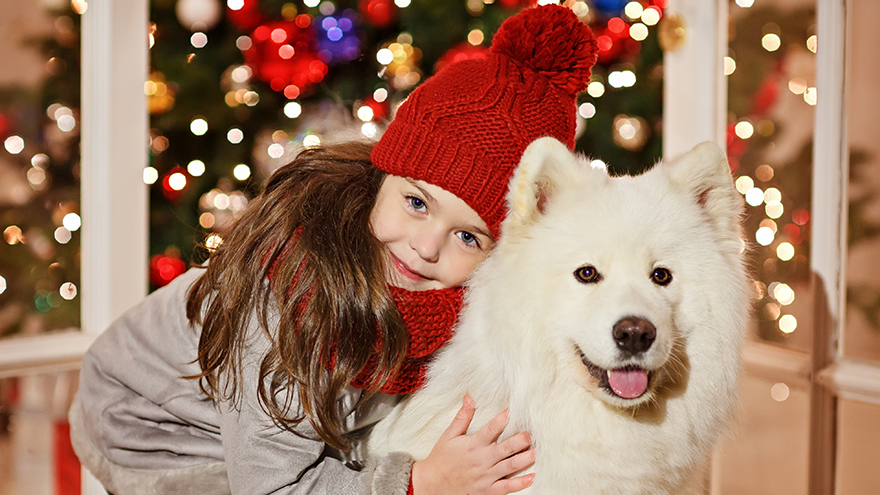 Dog and girl with Xmas tree in background Pic: Rex/Shutterstock