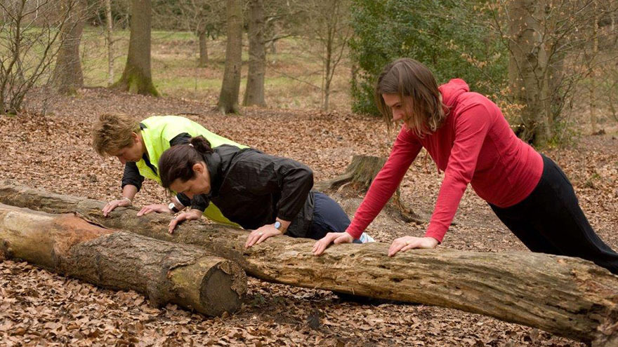 Press ups on a fallen log