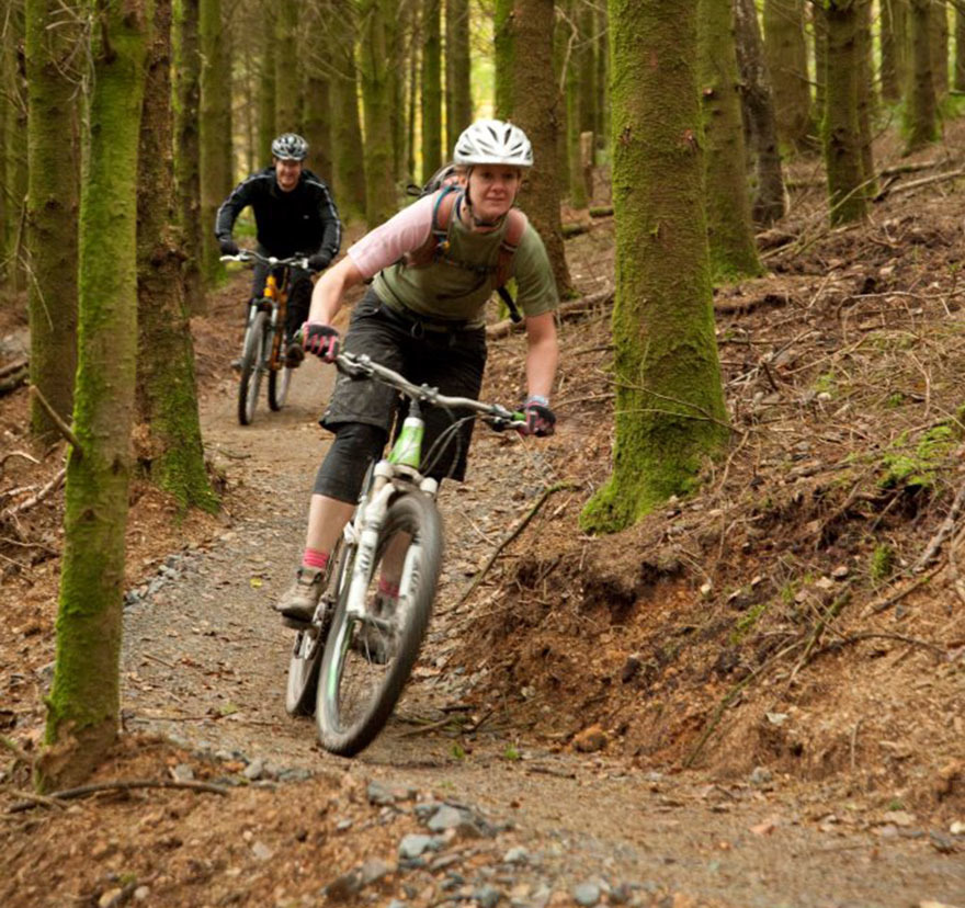 Mountain biking in the woods