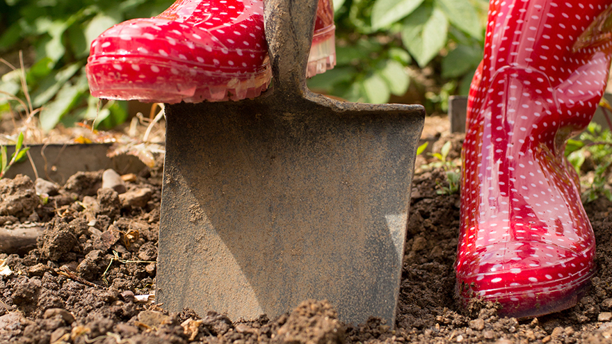 Red wellies digging garden