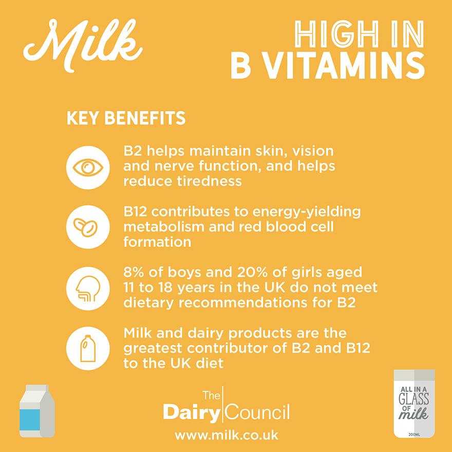 B Vitamins infogram