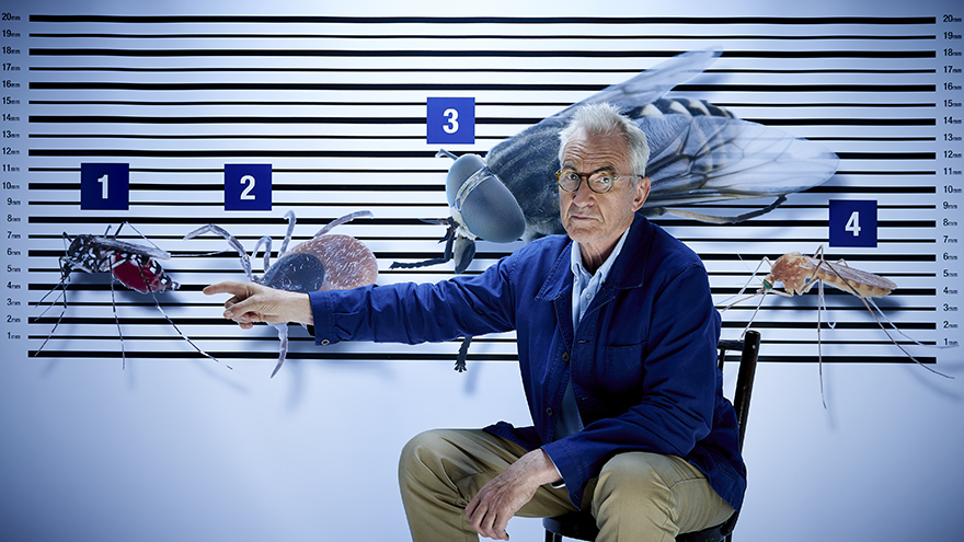 Larry Lamb tries to identify the malaria carrying mosquito as he works with Boots UK to encourage others to