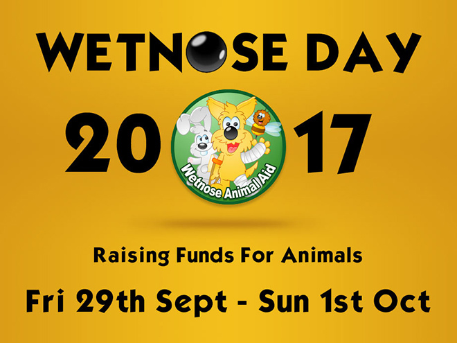 Wetnose charity banner