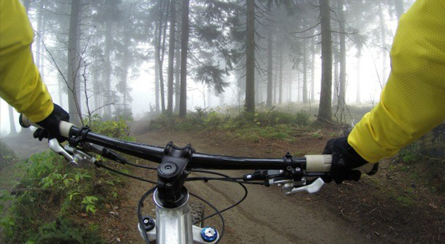 Handlebars on a bike in a misty forest