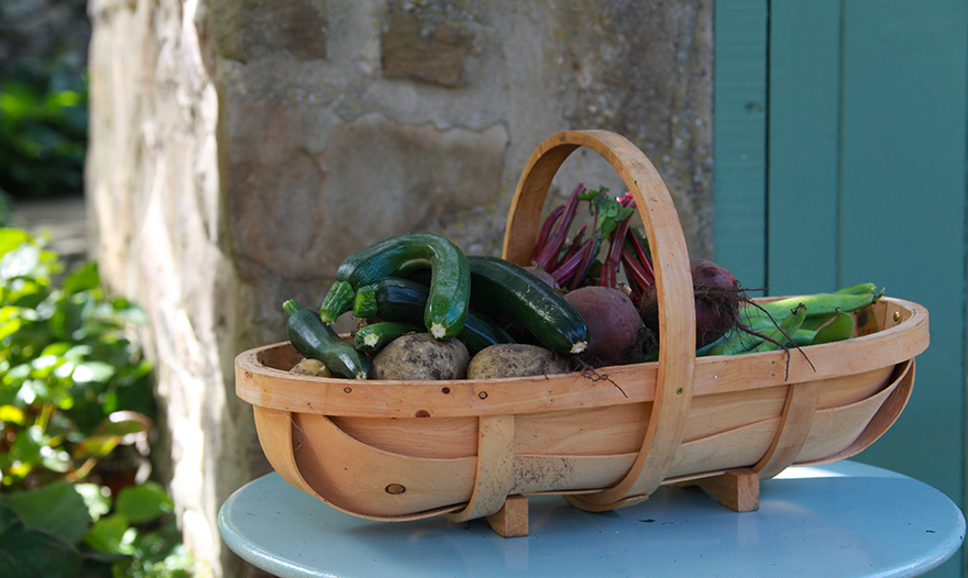 Basket of veg