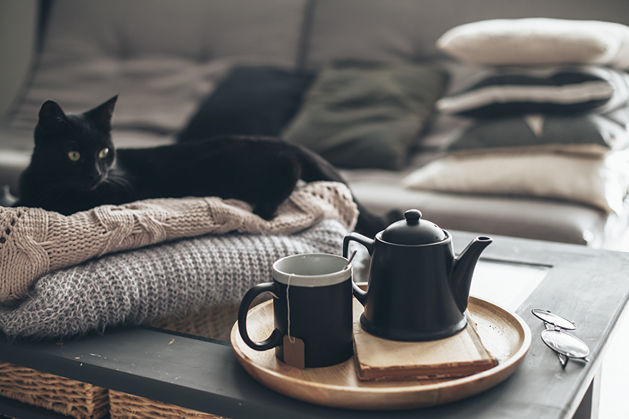 Cosy living room with black cat and tea tray