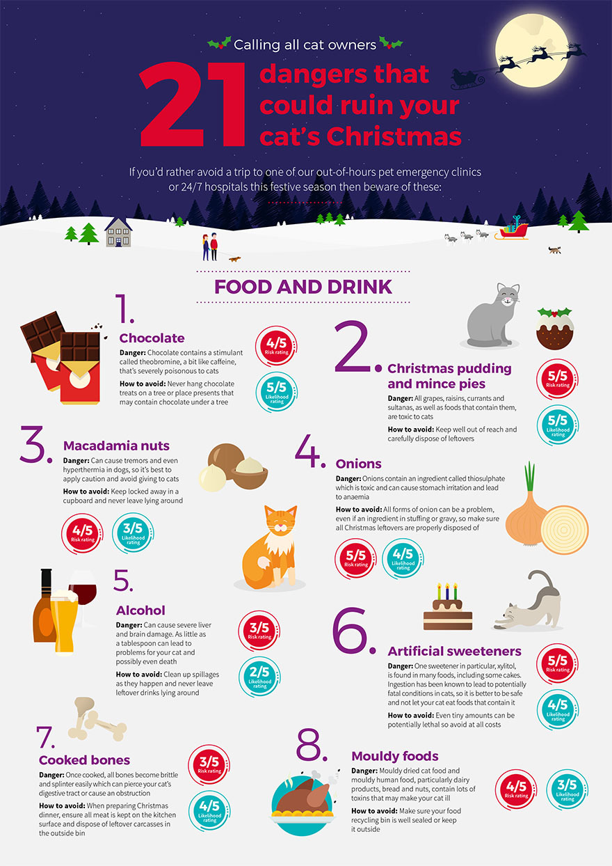 Cat Infogram page 1