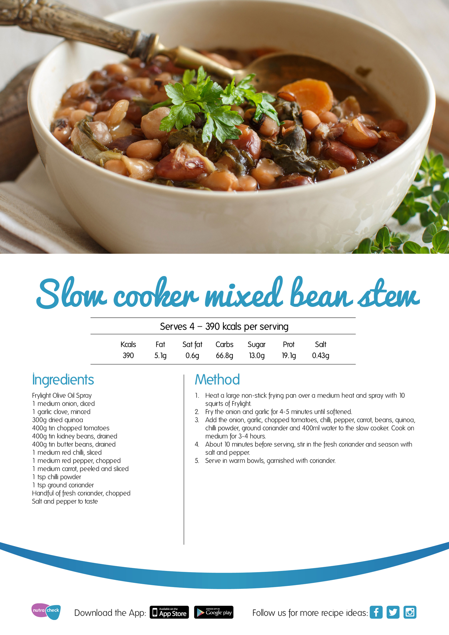 Slow cooker mixed bean stew
