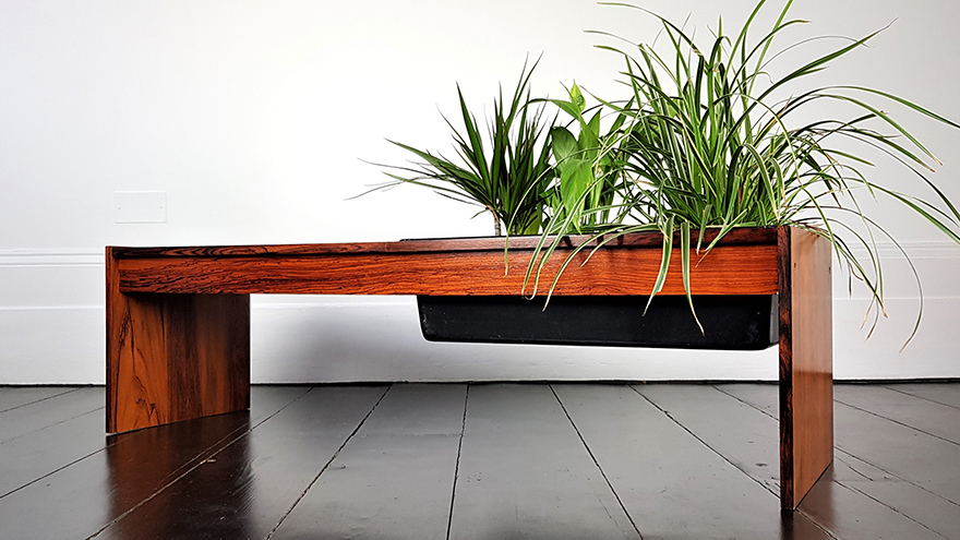 A coffee table with plants