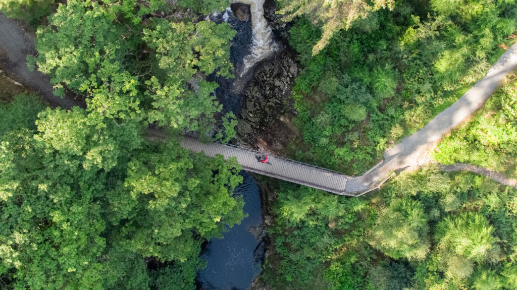 The Wales Way - Coed Y Brenin