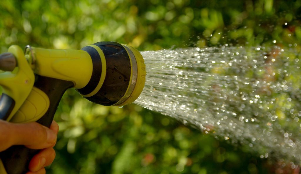 Hose watering in garden