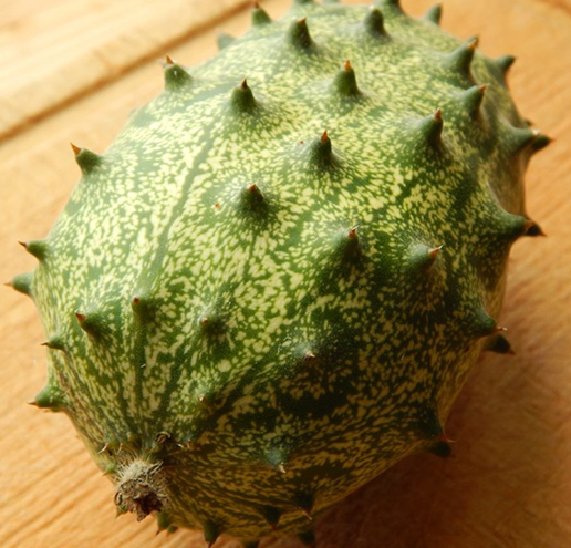 green prickly round cucumber