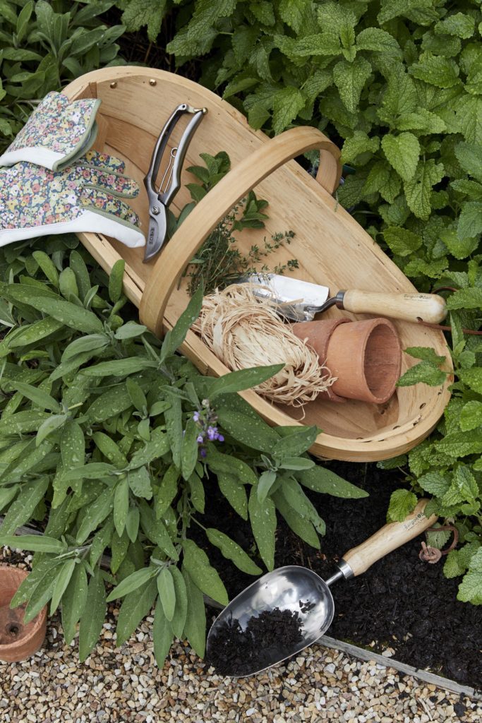 Trug and plant pot