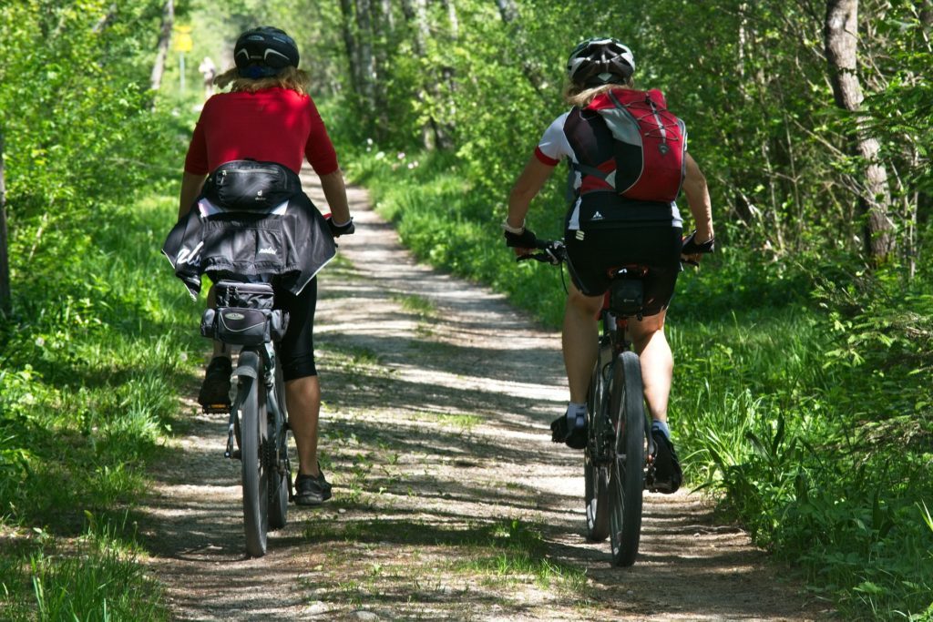 Couple cycling in leafy lane