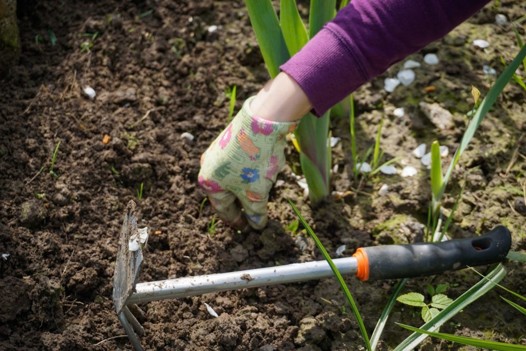 Woman's hand in gardening glove working in garden