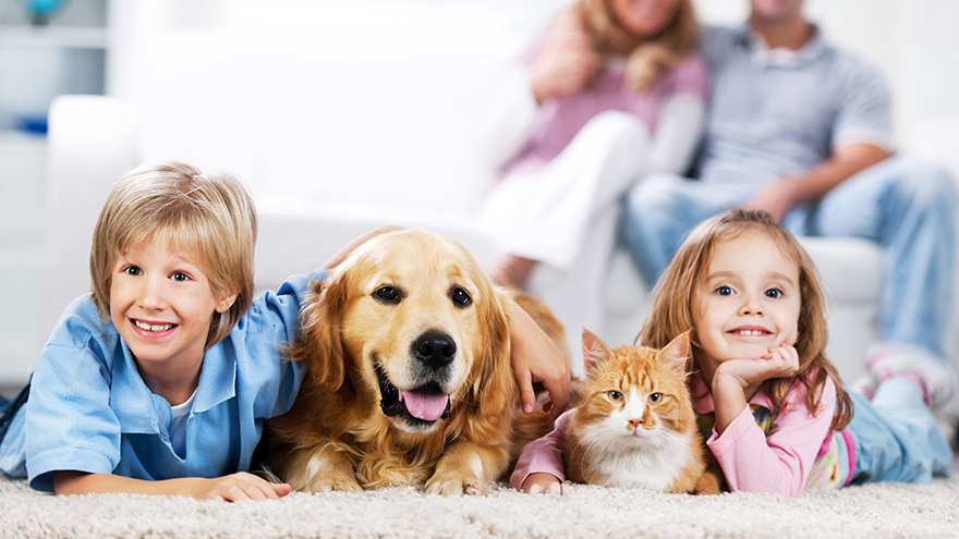 Boy and girl at home with cat and dog Pic: Istockphoto