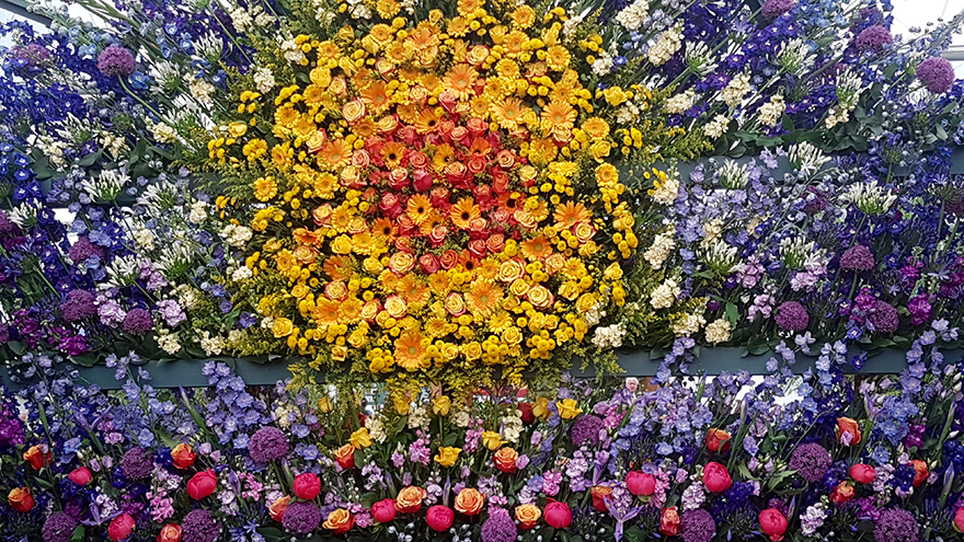 An explosion of flower colour in the Great Pavilion