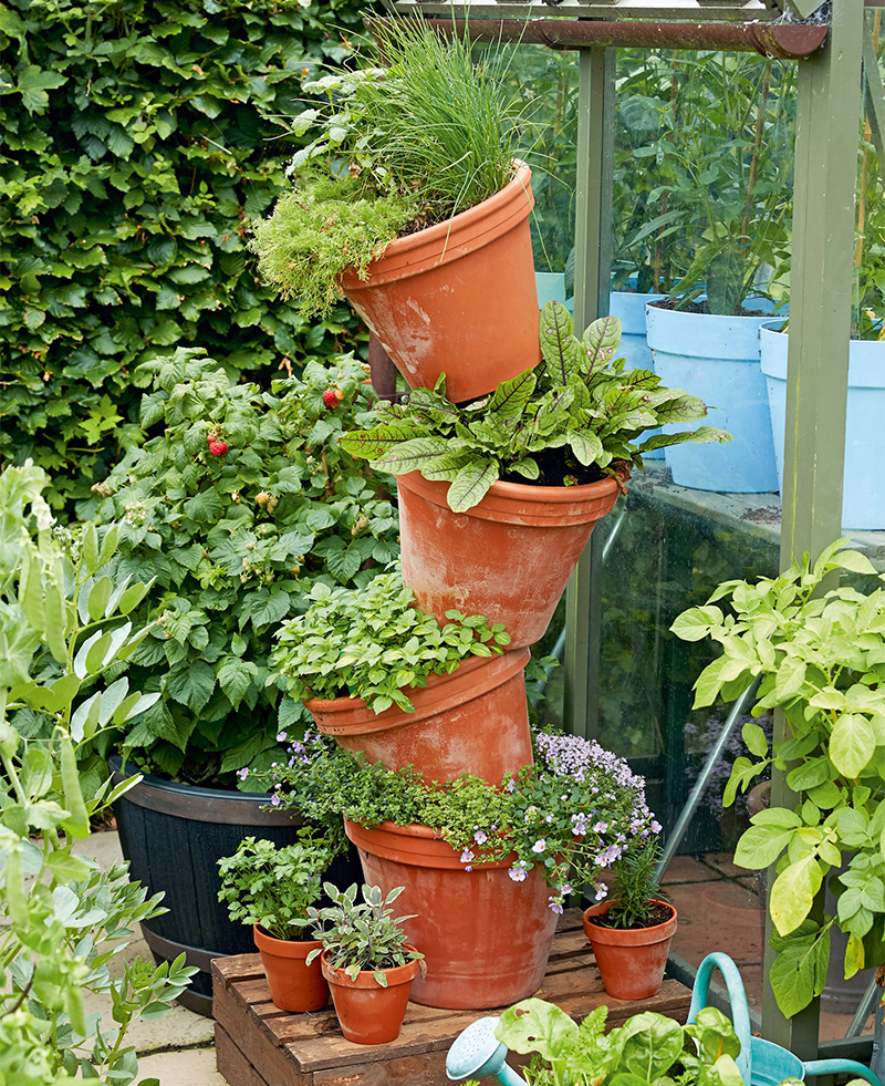Crooked tower of plant pots with herbs growing in exposed edges of the tops