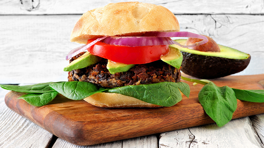 Veggie-protein---Bean-Burger