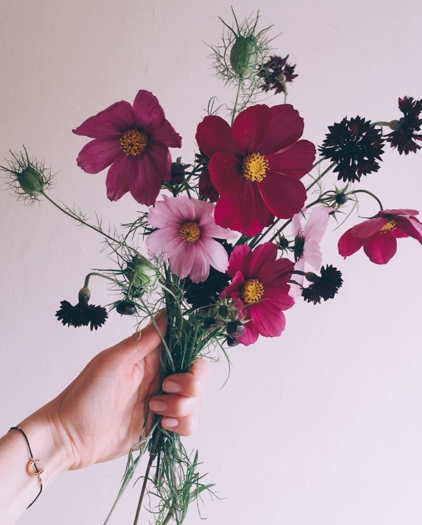 Cut flowers in hand