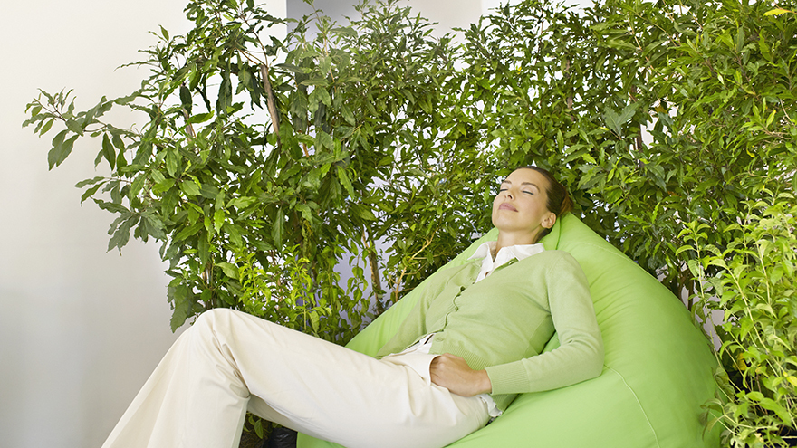 Businesswoman on beanbag surrounded by plants