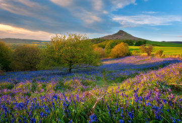 Roseberry Topping one of the best picnic spots in the UK