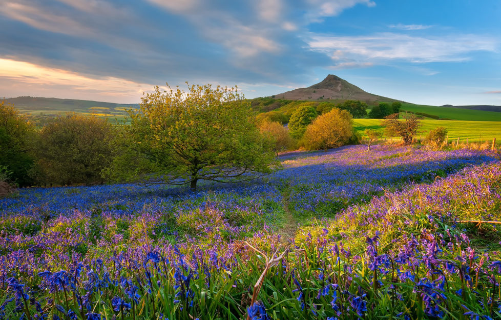 Roseberry Topping Pic: Istockphoto