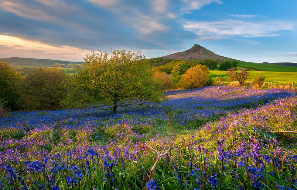 Roseberry Topping one of the best picnic spots in the UK