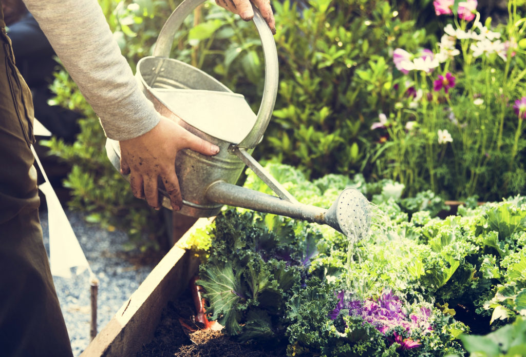 Man with watering can