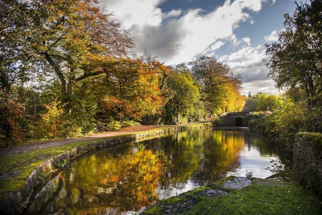 Peak Forest Canal