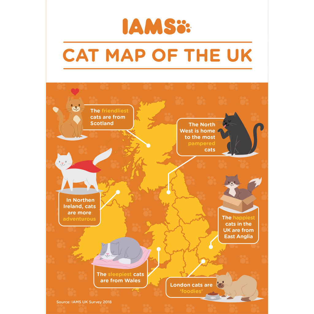 Infographic of different cat characteristics around UK (all info in text)