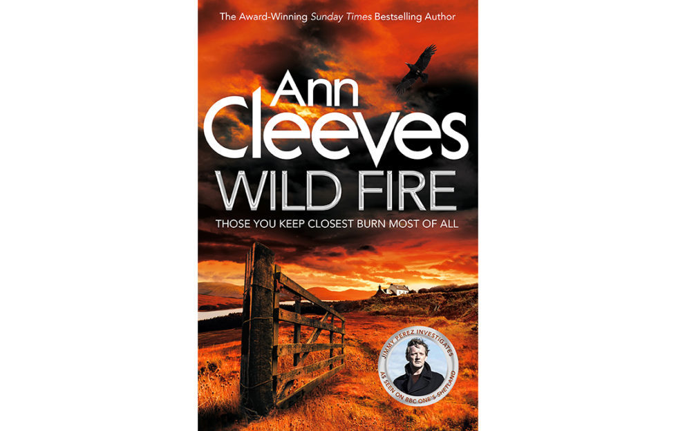 Wild Fire book cover