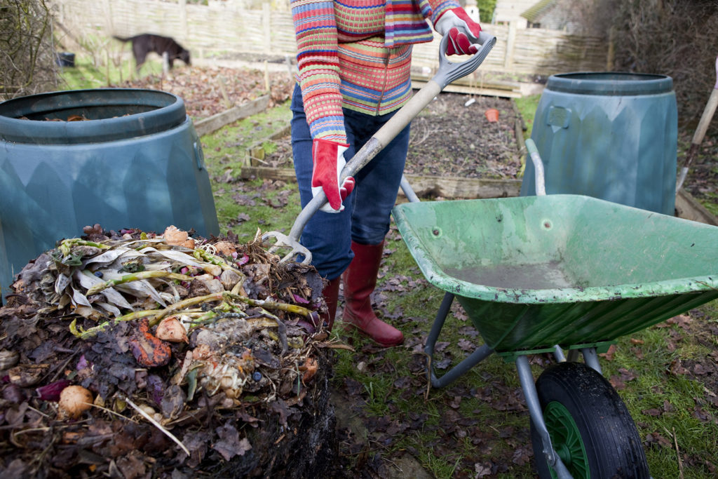 "Woman gardener turning compost, putting the undecomposed food waste back into a composting bin, with the ready to use compost just below.
