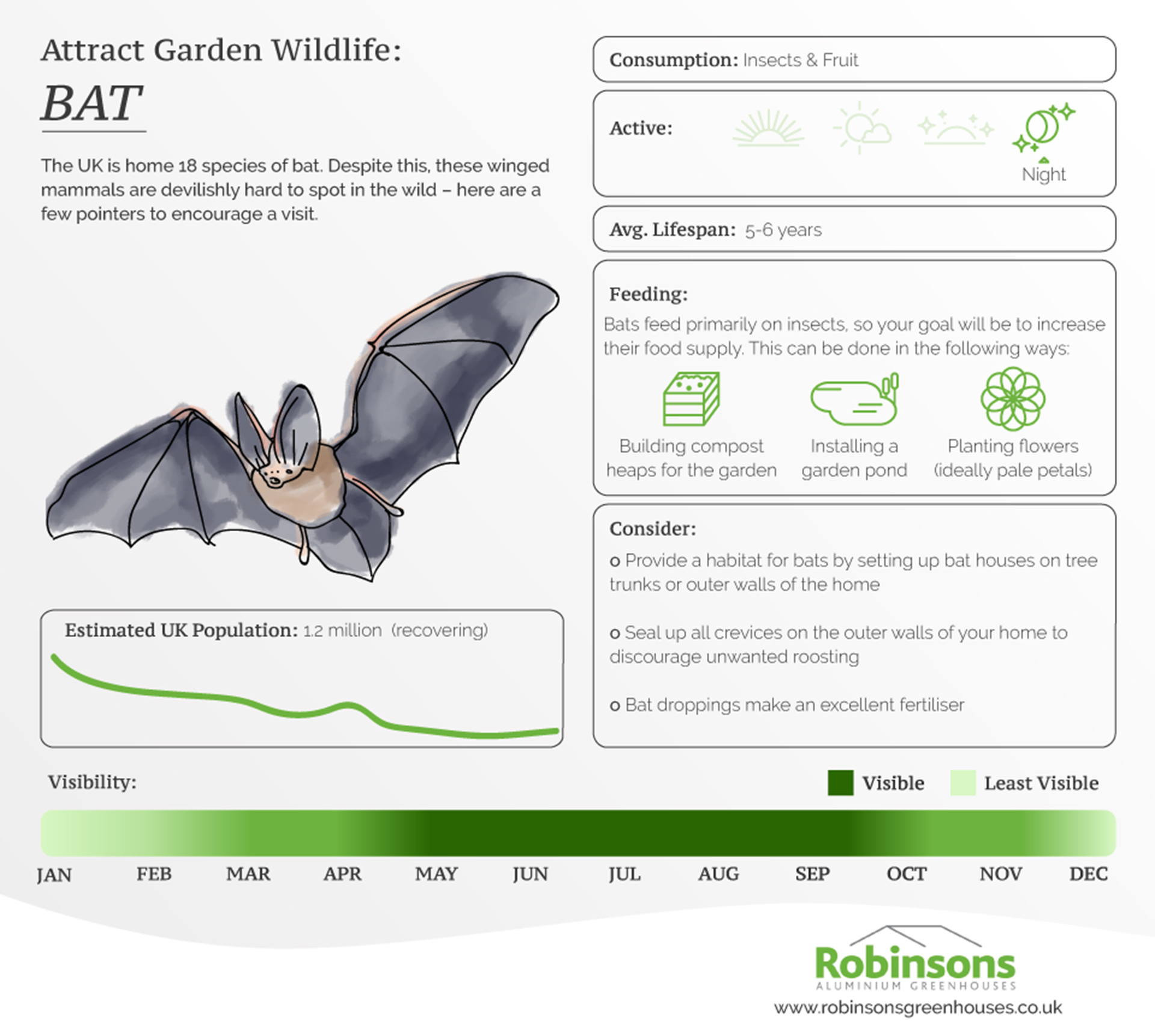 Bat information card