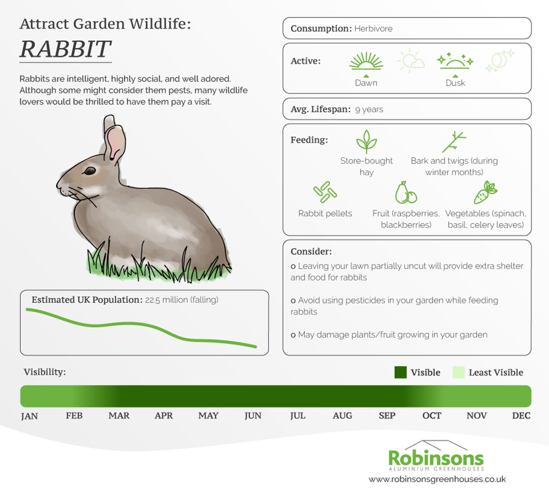 Rabbit information card
