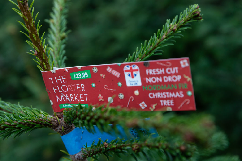 Christmas tree and label